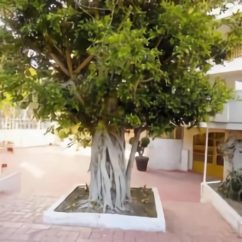Luminoso Apartamento En Salou Con Terraza Y Parque Infantil Ideal Familias 0*,